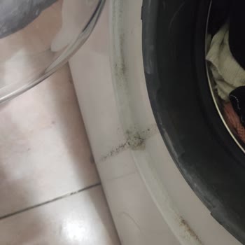 Profilo Çamaşır Makinesi Körük Sorunu