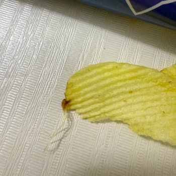 Ruffles Cipsin İçinden Çıkan Gizemli Madde Şoku