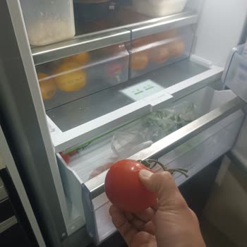 Profilo Buzdolabında Sürekli Donma Sorunu