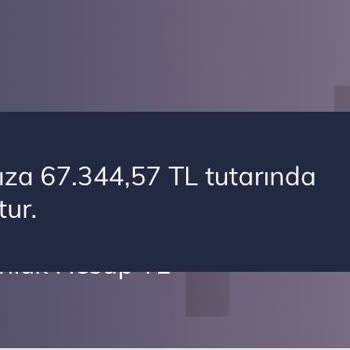 Hesap Kısıtlaması Sorunu