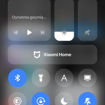 Tema Görünüm Sorunu: Kalıcı Çözüm Bekleniyor