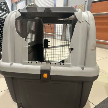 Sunexpress Hava Yolları : Evcil Hayvan Ve Bagaj Kabusu