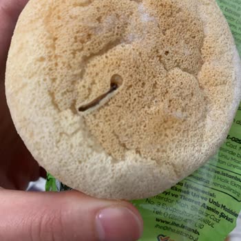 Glutensiz Ekmekte Ölü Solucan Şoku