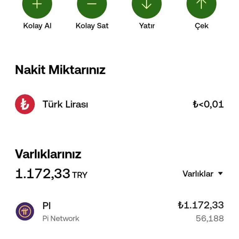I Bought 56 PI Coins on OKX but Can’t Trade or Withdraw Despite Visible Balance