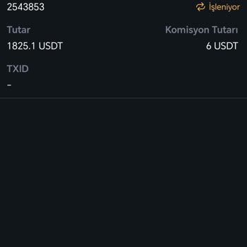 Transfer İşlemi Tamamlanmıyor Ve Destek Yetersiz