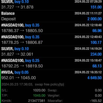 Yanıltıcı Yatırım Danışmanlığı Ve Kayıp