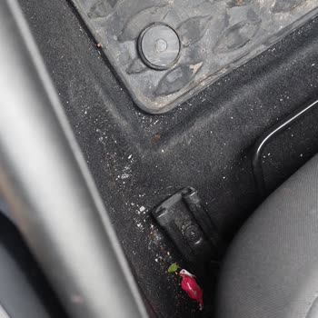 Sharingo Türkiye Araç Kiralama Kabusu: Uygulama Hataları Ve Müşteri Hizmetleri Çilesi