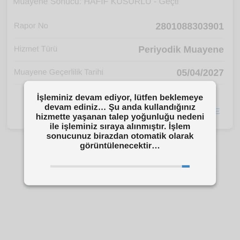 Araç Muayene Raporuna Erişim Sorunu