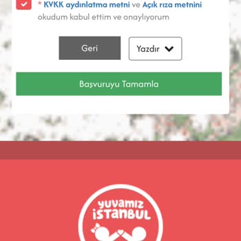Başvuru Sürecinde E-Posta Hatası