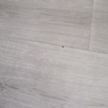 Çamsan Liva Meşe Parke Sorunu: Eklem Yerlerinden Ayrılma Ve Şişme