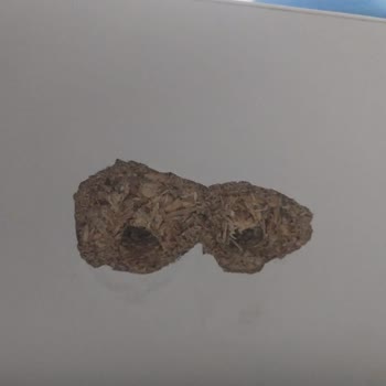 Angelic Yatak Odası Takımında Kalıcı Çözüm Beklentisi