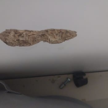 Angelic Yatak Odası Takımında Kalıcı Çözüm Beklentisi