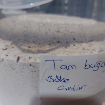 Tam Buğday Ununda Böceklenme Sorunu