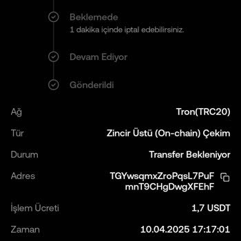 TikTok Platformunda Paramı Çekemiyorum