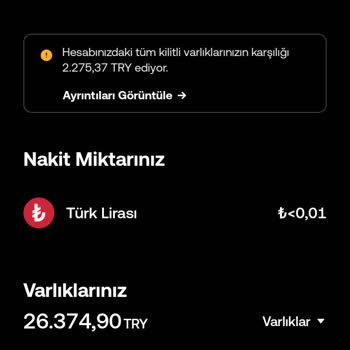 TikTok Platformunda Paramı Çekemiyorum