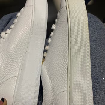 Renk Farklılığı Ve İlgisizlik Sorunu