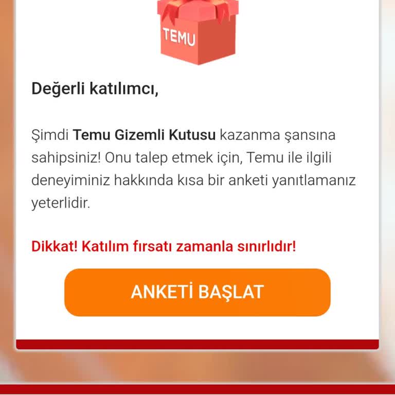Gizemli Kutu Aldatmacası: Temu'dan Yanıltıcı Reklam