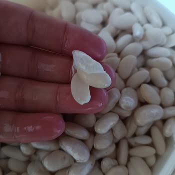 Duru Fasülyeden Hiç Memnun Kalmadım