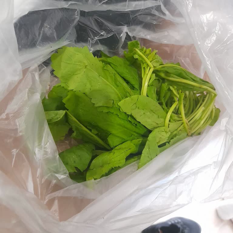 Marketin Sürekli Tekrarlanan Hataları