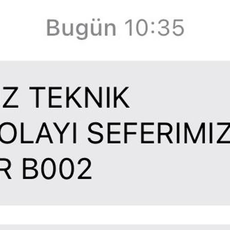 İstanbul-Milas Yolculuğunda Karşılaşılan Sorunlar