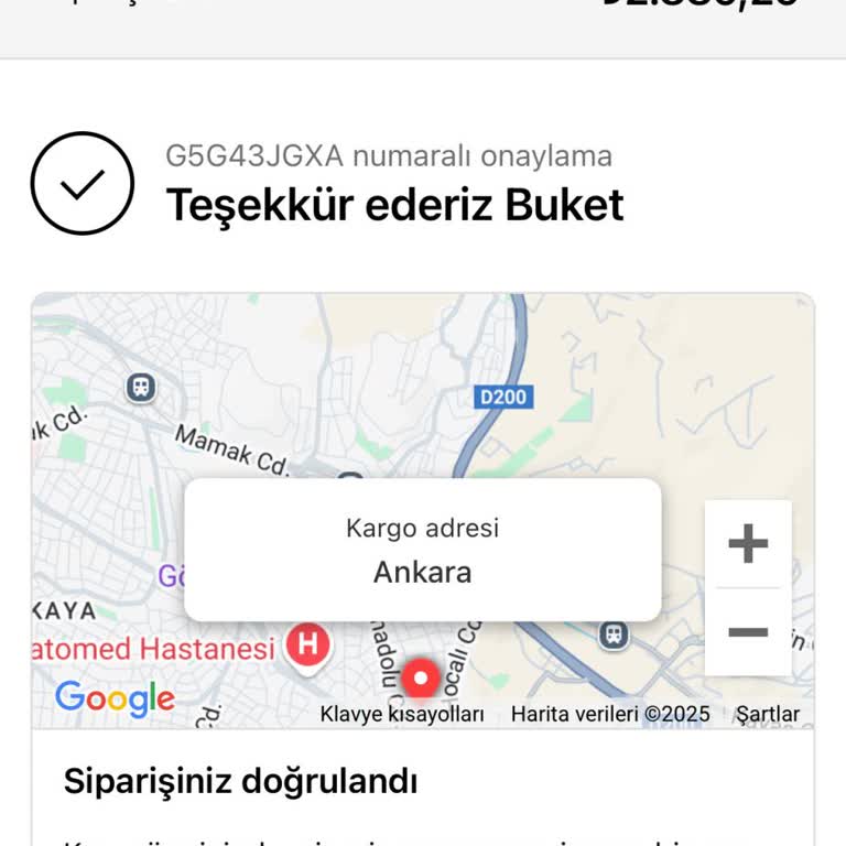 Sipariş Verdim, Elbisem Gelmedi