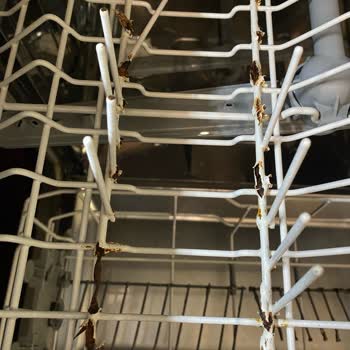 Arçelik Bulaşık Makinesi Sepetleri Pas Sorunu