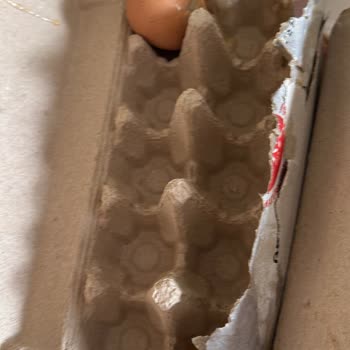Kırık Yumurta Krizi: Migros Sanal Market Hayal Kırıklığı