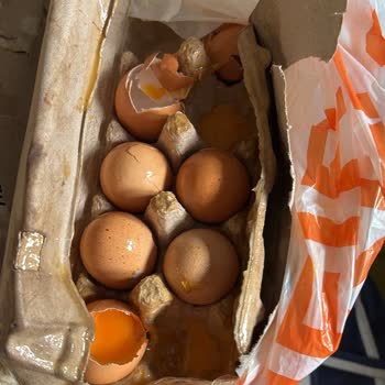 Kırık Yumurta Krizi: Migros Sanal Market Hayal Kırıklığı