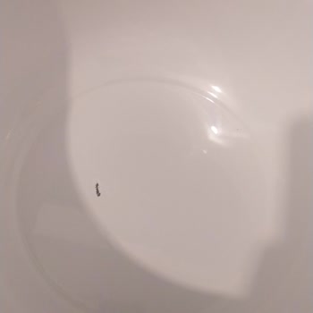 Emaye Tencere Setinde Kalite Sorunu Ve İlgisiz Müşteri Hizmetleri