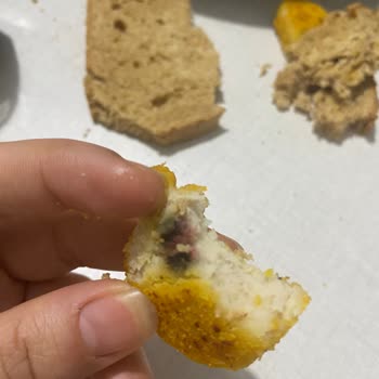 Gedik Nugget Ürünü İçindeki Şüpheli Madde