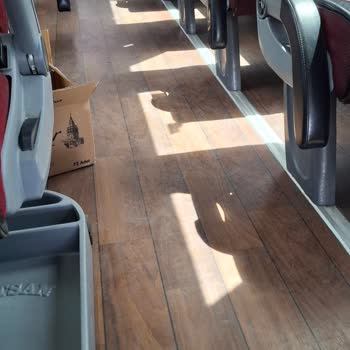 Uluslararası Seyahatte Konfor Ve Temizlik Sorunları