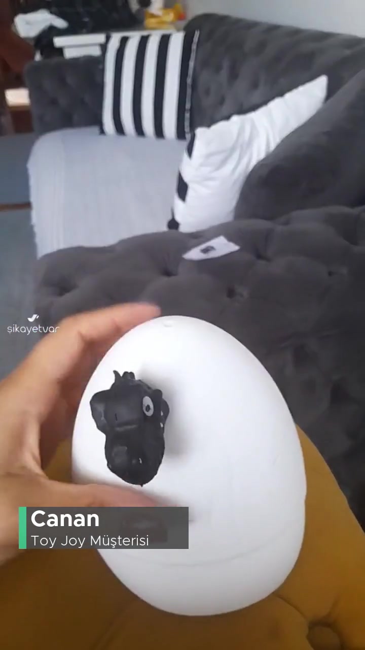 Toy Joy Fiyat Artışı videonun kapak resmi