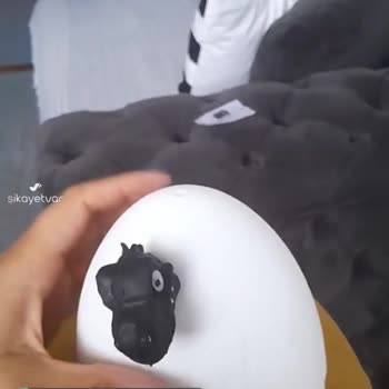Toy Joy Fiyat Artışı