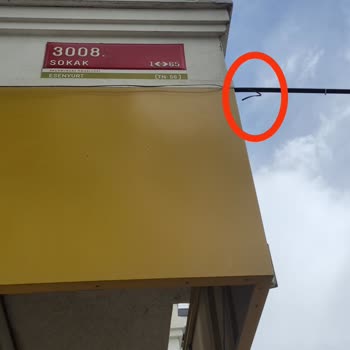 Kopan Fiber Kablo Ve Trafik Kazası: İnternet Çilesi