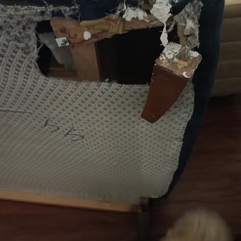 Vivense Koltuğumun Sürekli Kırılması Ve İletişim Sorunu