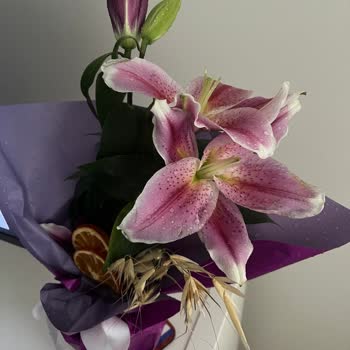 Solan Çiçeklerle Gelen Hayal Kırıklığı