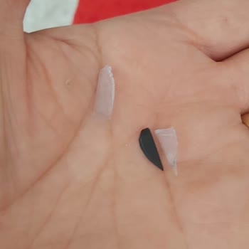 Kırık Kahve Öğütücüleri: Acil Değişim Talebi