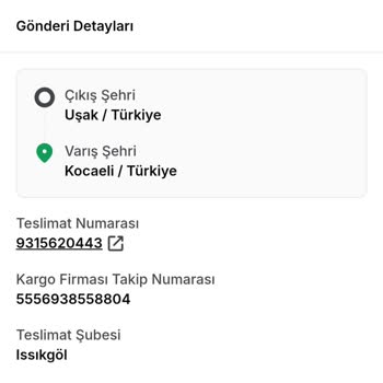 Kayıp Halı: 19 Gündür Teslimat Bekliyorum!