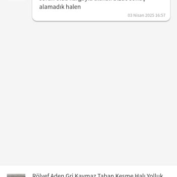 Kayıp Halı: 19 Gündür Teslimat Bekliyorum!