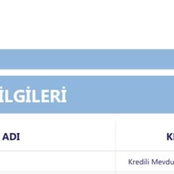 Bilinmeyen Kredili Mevduat Hesabı Ve Çözüm Bulamama