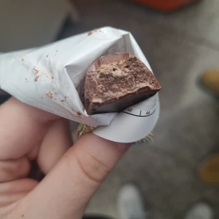 Torku Fındık Rüyası'nda Fındık Hayal Kırıklığı