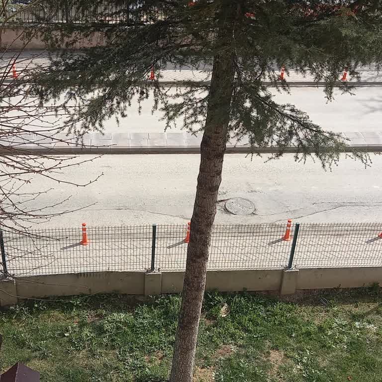 Türk Telekom Altyapı Kapağının Gece Uykusunu Kaçıran Gürültüsü