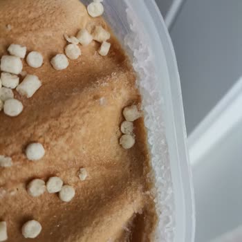 Dondurma Paketinde Şişme Ve Kalite Sorunu