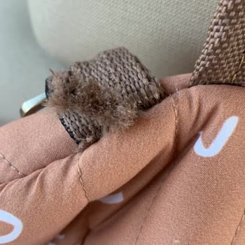 Hayuu.co'dan Şikayetçiyim