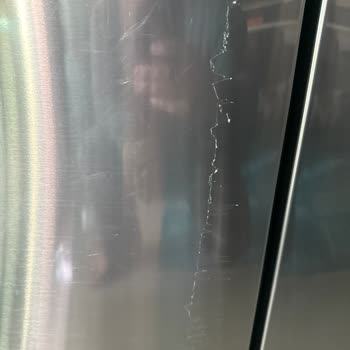 My LG 931L No Frost Fridge Has Peeling Paint and LG Refuses to Fix It
