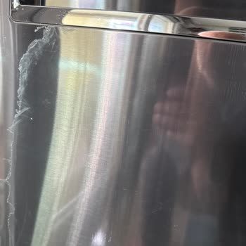 My LG 931L No Frost Fridge Has Peeling Paint and LG Refuses to Fix It