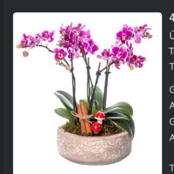 Yanlış Ürün Ve Yetersiz Destekle Hayal Kırıklığı