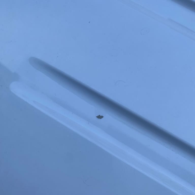 Citroen Araçta Boya Sorunu Ve Yetersiz Hizmet