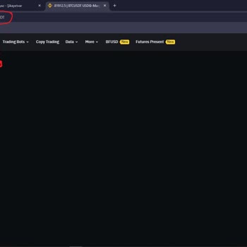 Binance'de Futures Ekranı Sorunu ve Şüpheli Durumlar