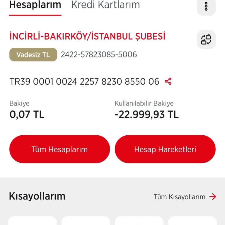 Ziraat Bankası'nda Otomatik Ödeme Sorunu